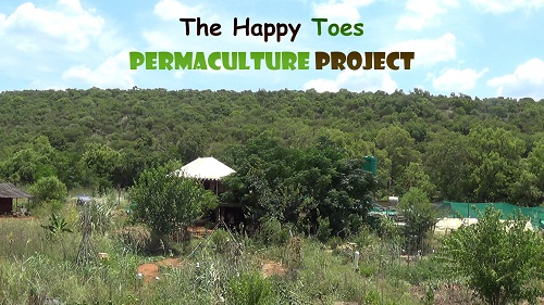 Happy Toes Permaculture Project