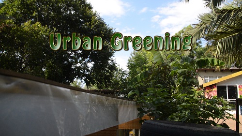 New Back to Nature Film – Urban Greening in Johannesburg